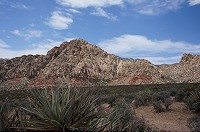 791_DSC02653.jpg
