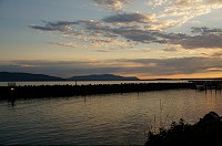 330_DSC08222.jpg