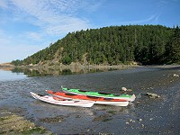 336_IMG_3941.jpg