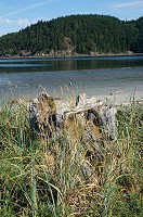 349_DSC08244.jpg