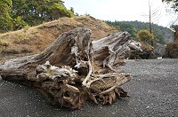 356_DSC08258.jpg
