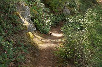 371_DSC08285.jpg