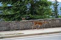 397_DSC08322.jpg