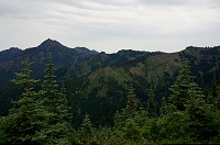 399_DSC08325.jpg