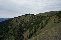 401_DSC08333.jpg