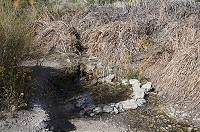 DSC03714.jpg