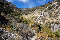 DSC03719.jpg