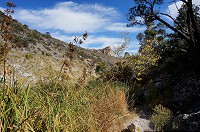 DSC03726.jpg