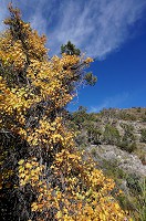 DSC03727.jpg