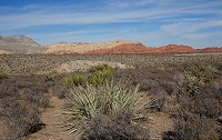 DSC03774.jpg