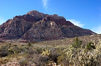 DSC03786.jpg