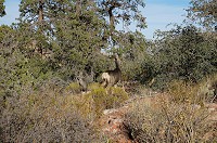 DSC03827.jpg