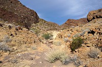 DSC03857.jpg