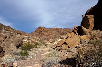 DSC03859.jpg