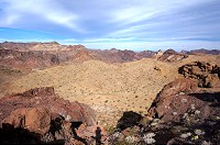 DSC03875.jpg
