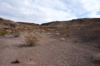 DSC03882.jpg