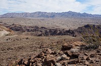 DSC03952.jpg