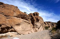 DSC03977.jpg