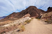 DSC04004.jpg