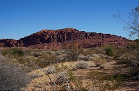 DSC04034.jpg