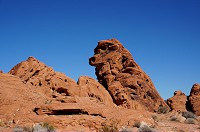 DSC04049.jpg