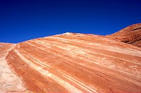 DSC04088.jpg