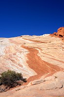 DSC04092.jpg