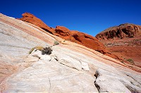 DSC04094.jpg