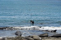 0502_SS104094.jpg