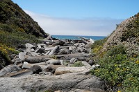 0547_SS104224.jpg