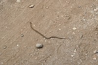 0565_SS104265.jpg