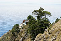0601_SS104337.jpg