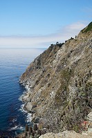 0602_SS104338.jpg