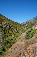 0661_SS104464.jpg