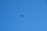 0674_SS104489.jpg