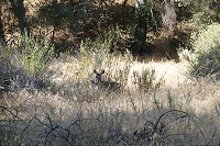 0744_SS104624.jpg