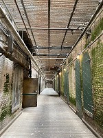 0888_IMG_8604.jpg