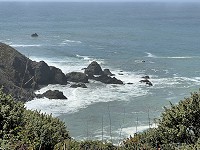 1104_IMG_8394.jpg