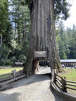 1116_IMG_9218.jpg