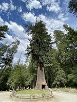 1124_IMG_9305.jpg