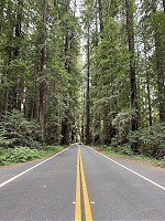 1129_IMG_8425.jpg