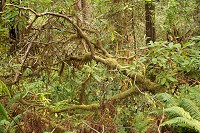 1155_SS105238.jpg