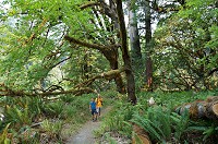 1172_DSC02614.jpg