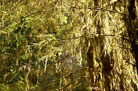 1185_SS105311.jpg