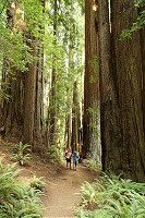 1189_SS105327.jpg