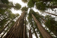 1215_SS105390.jpg