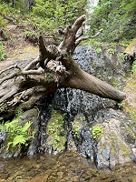 1225_IMG_8665.jpg