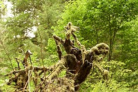 1226_SS105421.jpg