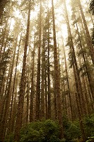 1275_SS105497.jpg