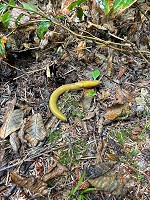 1291_IMG_E8776.jpg